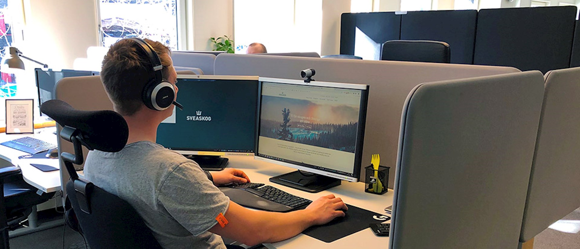 Mirror får utökat uppdrag till Sveaskog