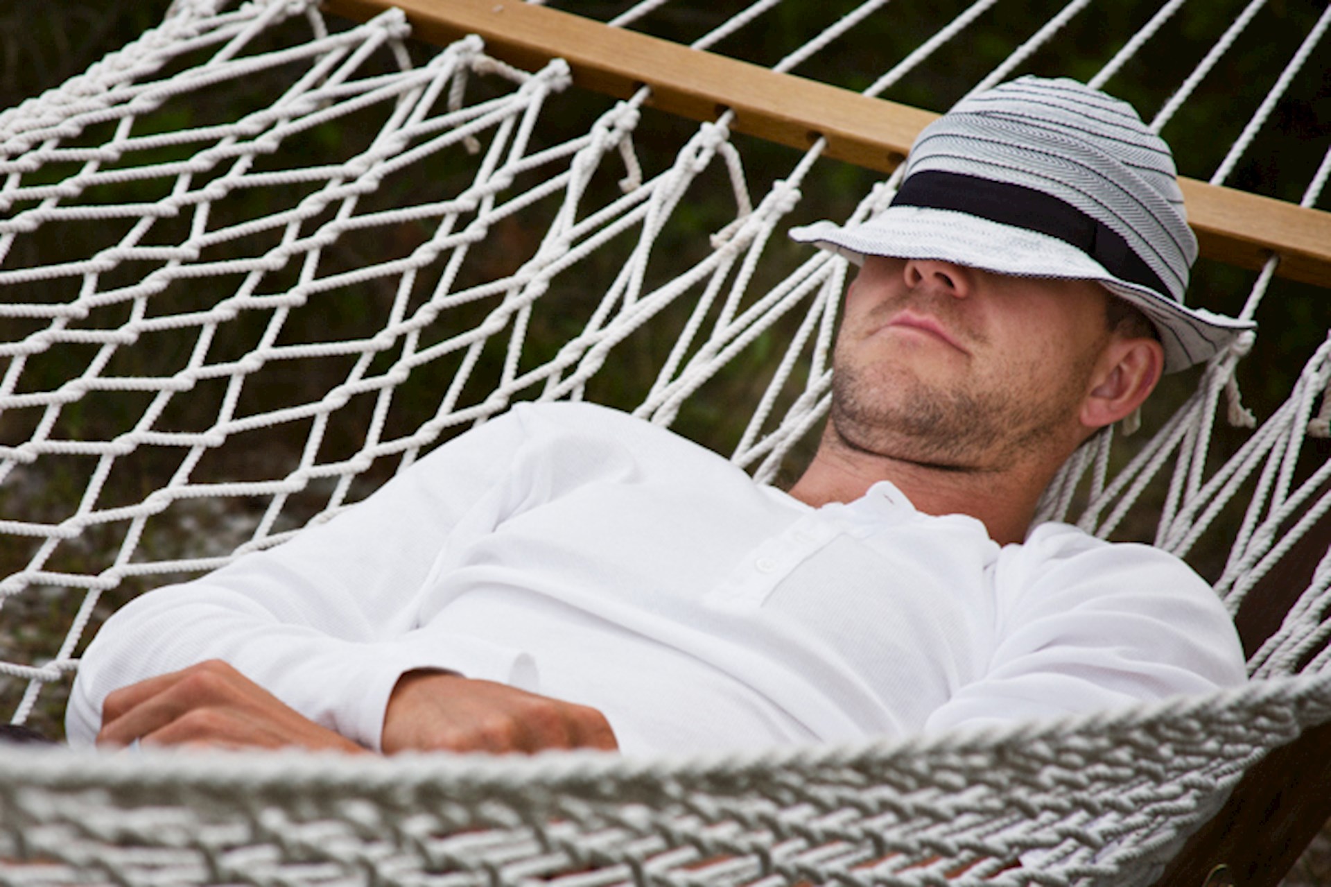 "Stör inte. Jag uppdaterar hemsidan"